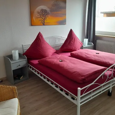 Отель Ferienwohnung Im Birkenweg Мёрсдорф